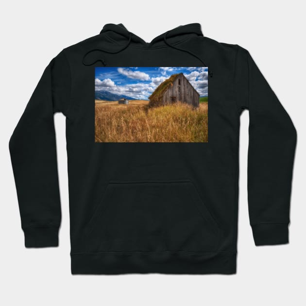 Remnants of Farm Life Hoodie by StacyWhite